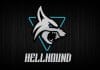 PowerColor Hellhound